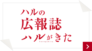 ハルの広報誌　ハルがきた