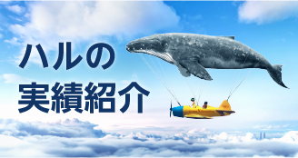ハルの実績紹介
